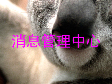 消息管理中心