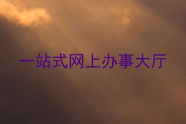 一站式网上办事大厅