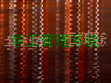 学工管理系统