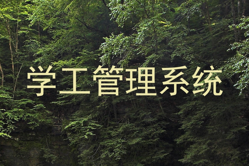学工管理系统