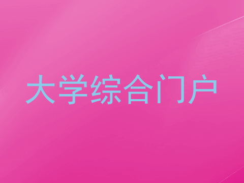 大学综合门户