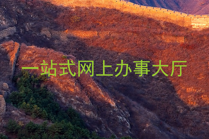 一站式网上办事大厅