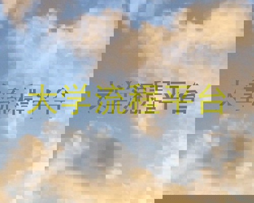 大学流程平台