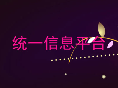 统一信息平台