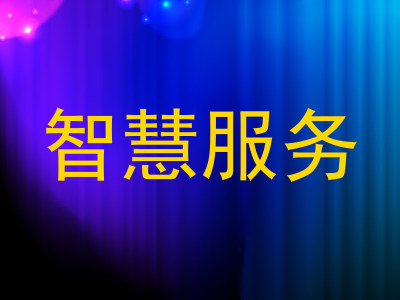 智慧服务