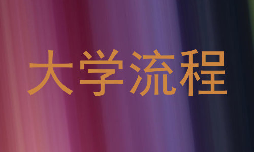 大学流程