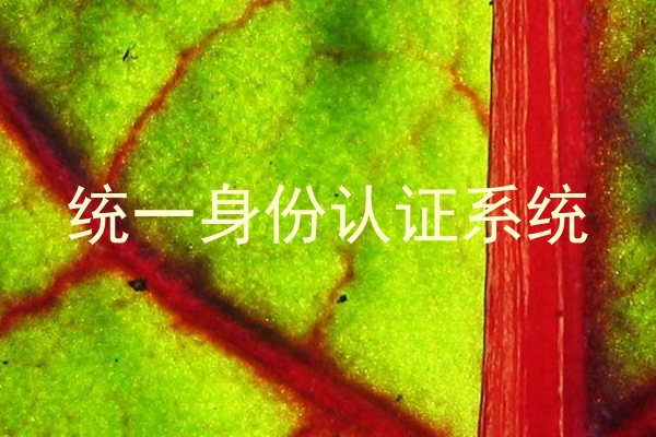 统一身份认证系统