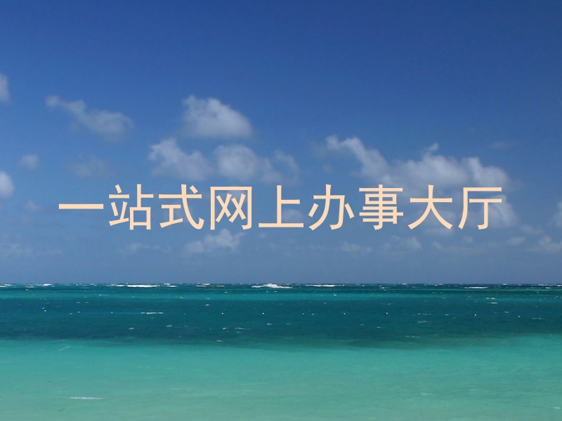 一站式网上办事大厅