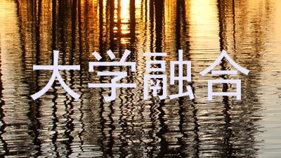 大学融合