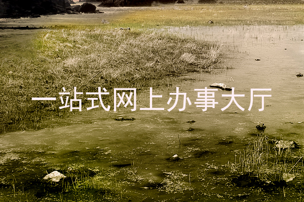 一站式网上办事大厅