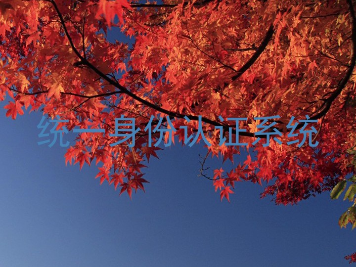 统一身份认证系统