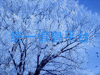 统一信息平台