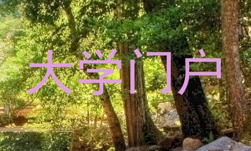 大学门户