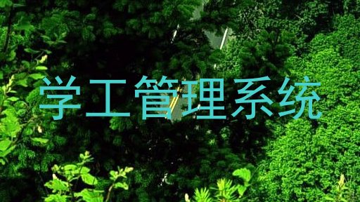 学工管理系统