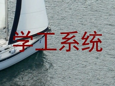 学工系统
