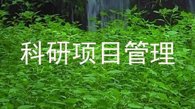 科研项目管理