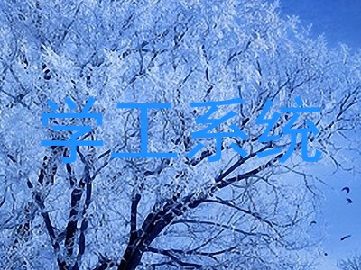 学工系统