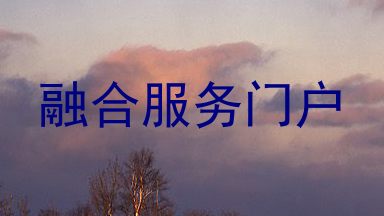 融合服务门户