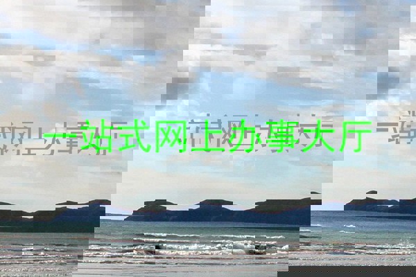 一站式网上办事大厅