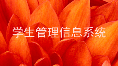 学生管理信息系统