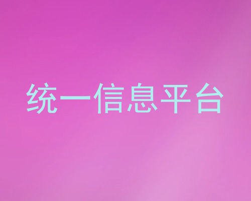 统一信息平台