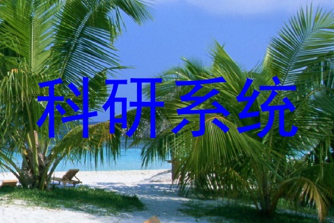 科研系统