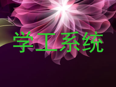 学工系统
