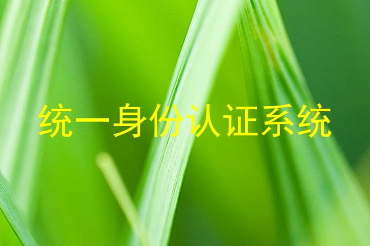 统一身份认证系统