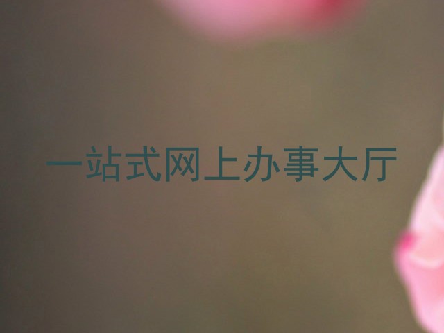 一站式网上办事大厅