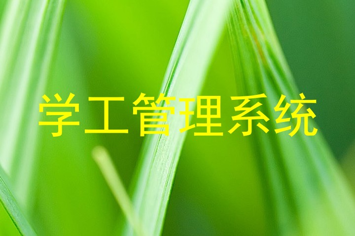 学工管理系统