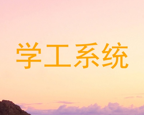 学工系统