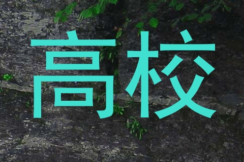 高校