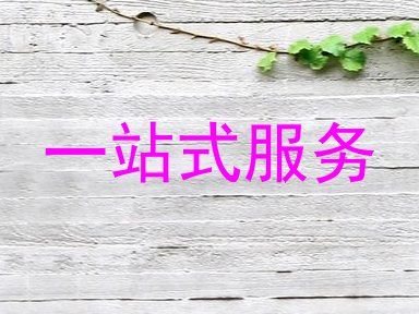 一站式服务