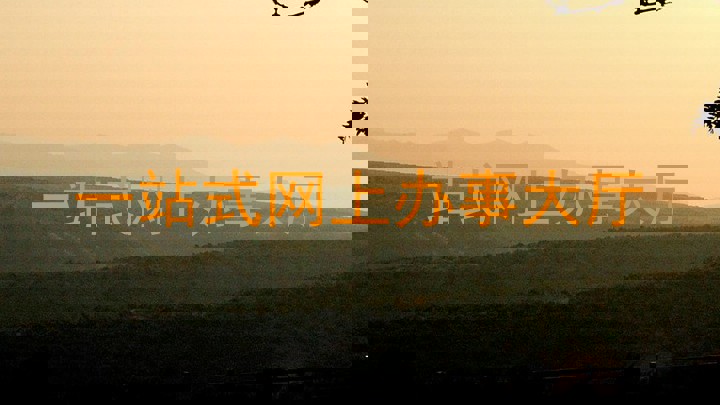 一站式网上办事大厅