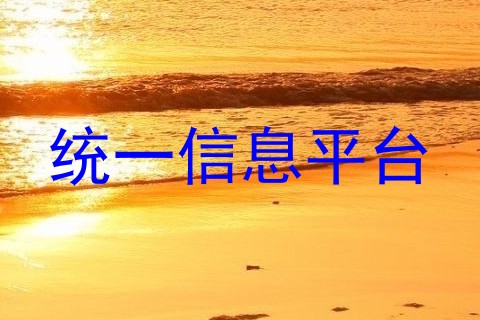 统一信息平台