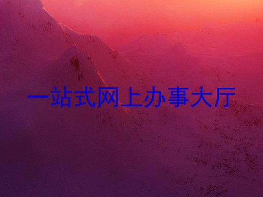 一站式网上办事大厅