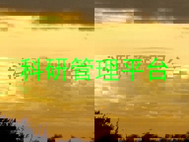 科研管理平台