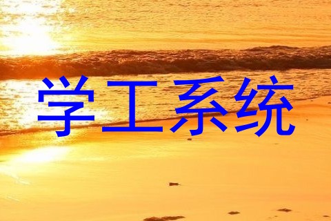 学工系统