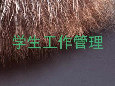 学生工作管理