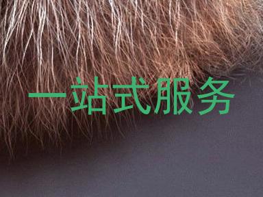 一站式服务