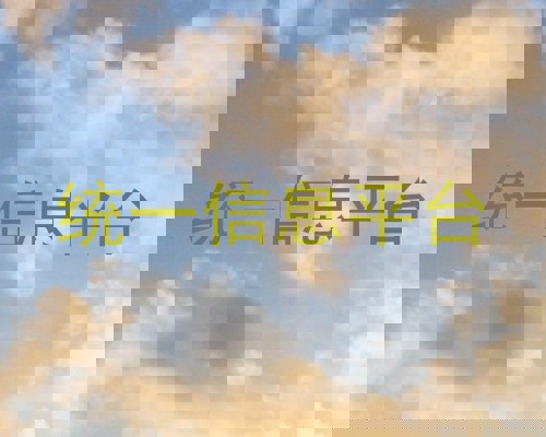 统一信息平台