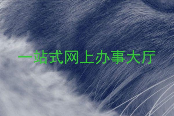 一站式网上办事大厅