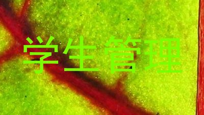 学生管理