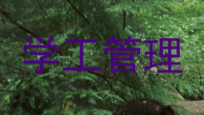 学工管理