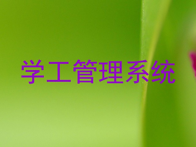 学工管理系统
