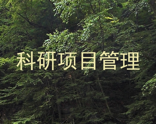 科研项目管理