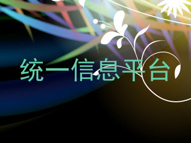 统一信息平台