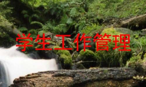 学生工作管理