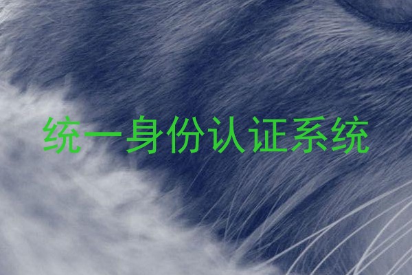 统一身份认证系统