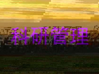 科研管理